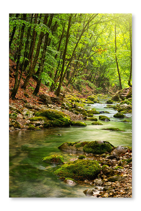  River Deep In Mountain Forest 16 po x 24 po : Cadre d'art mural et panneau de tissu