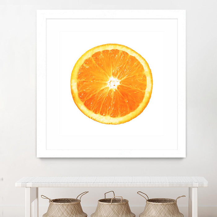 Œuvre d’art murale encadrée blanche et mate « Citrus Cultivar » 30 x 30