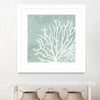 "Sea Crown Ii" Matted and Framed White 36x36 Wall Art