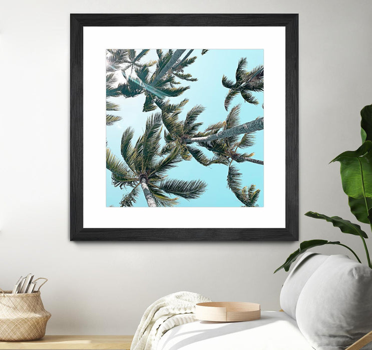 Œuvre d’art murale encadrée noire et mate « Palm 03 » 30 x 30