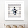"Muted Blue Sea Conch On Wood" Matted and Framed White 36x36 Wall Art