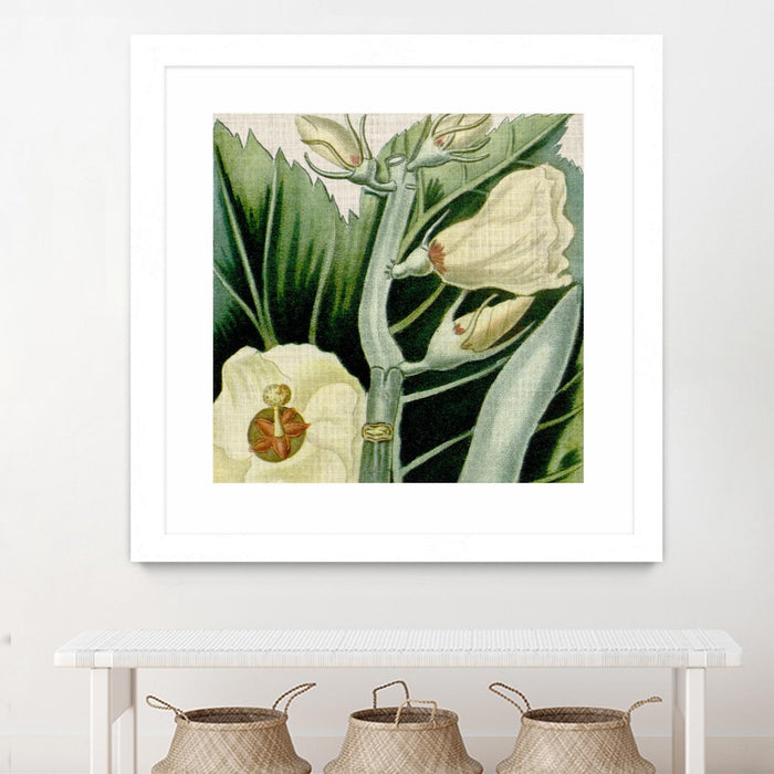 Œuvre d’art murale encadrée blanche et mate « Cropped Turpin Tropicals Iii » 30 x 30