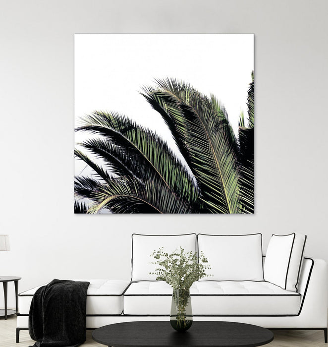 Œuvre d’art murale Giant Art « Cape Storm » 72 x 72