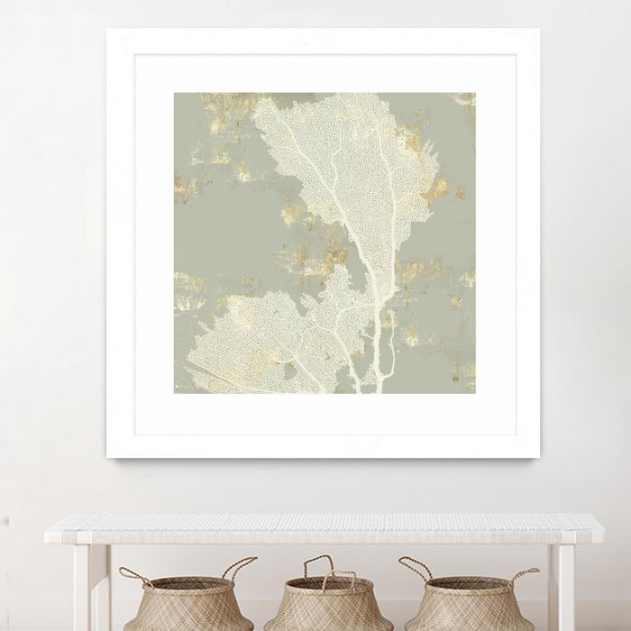 Œuvre d’art murale encadrée blanche et mate « Sea Coral Ii » 30 x 30