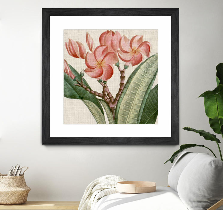 Œuvre d’art murale encadrée noire et mate « Cropped Turpin Tropicals Vii » 30 x 30