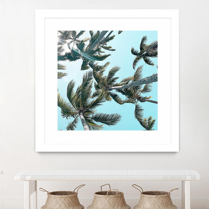 Œuvre d’art murale encadrée blanche et mate « Palm 03 » 30 x 30