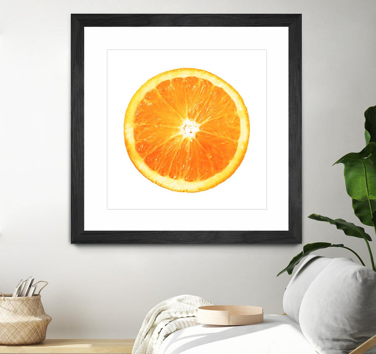 Œuvre d’art murale encadrée noire et mate « Citrus Cultivar » 36 x 36