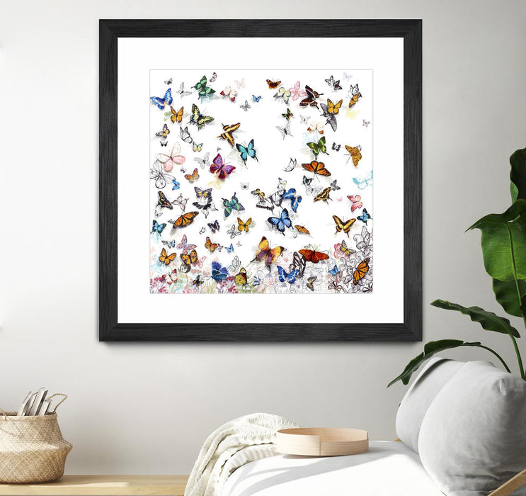Œuvre d’art murale encadrée noire et mate « Papillon » 36 x 36