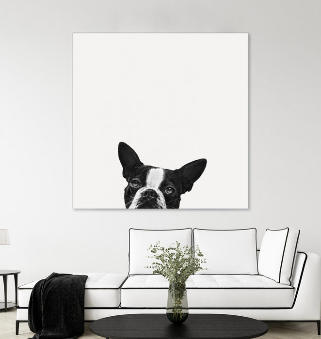 Œuvre d’art murale Giant Art « Loyalty » 54 x 54