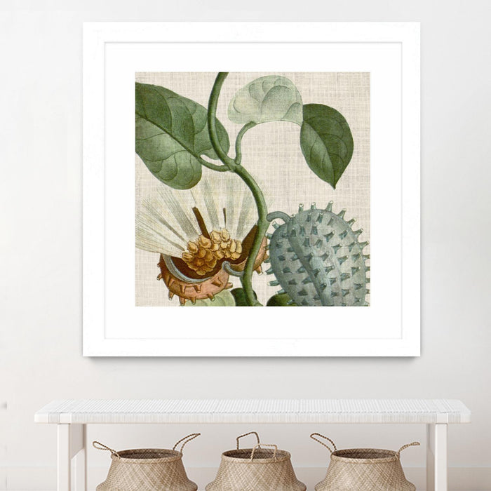 Œuvre d’art murale encadrée blanche et mate « Cropped Turpin Tropicals Ii » 30 x 30