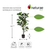 Artificial 47" Fiddle Leaf Indoor & Outdoor In Black Pot 