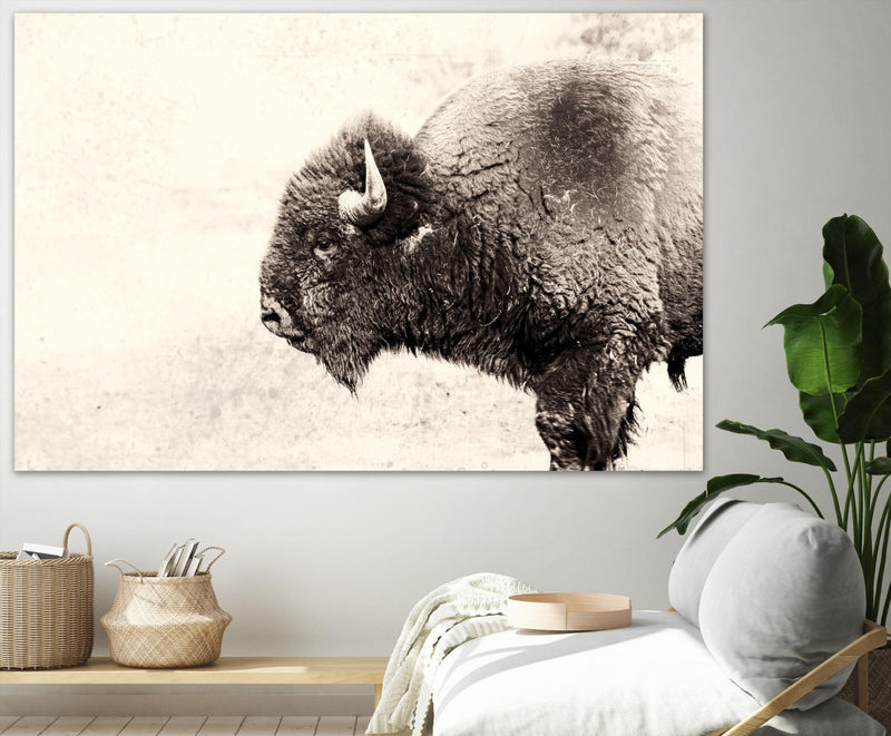 Œuvre d’art murale Giant Art « Buffalo » 84 x 54