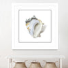 "Seafoam Shell" Matted and Framed White 30x30 Wall Art
