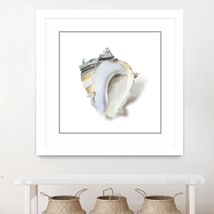 Œuvre d’art murale encadrée blanche et mate « Seafoam Shell » 30 x 30