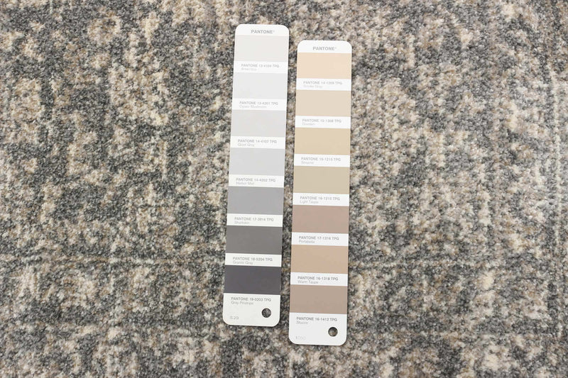 Carpette Ochoa gris - 5 pi 3 pox 7 pi 3 po