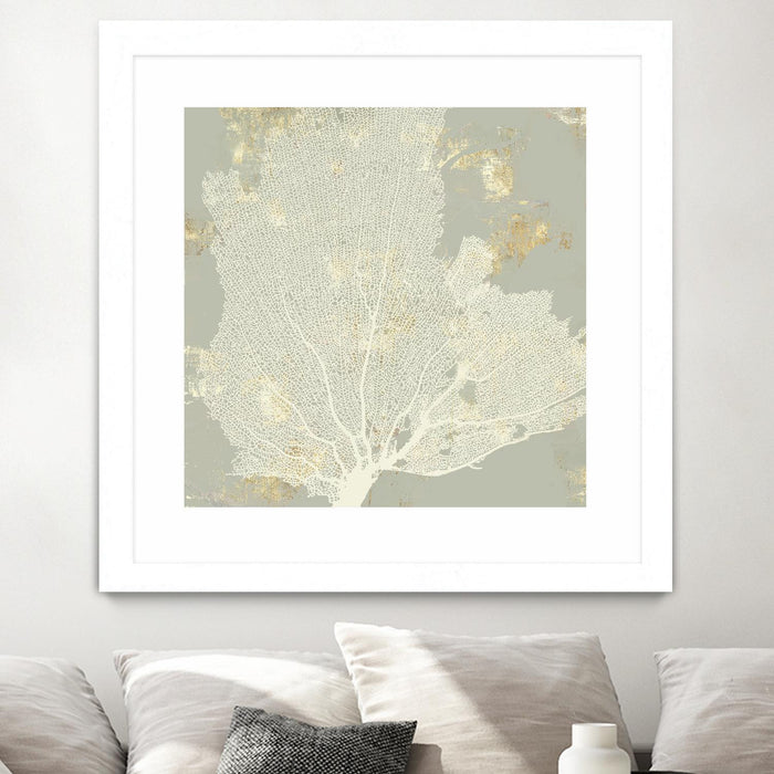 Œuvre d’art murale encadrée blanche et mate « Sea Coral I » 36 x 36