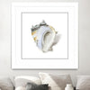 "Seafoam Shell" Matted and Framed White 30x30 Wall Art