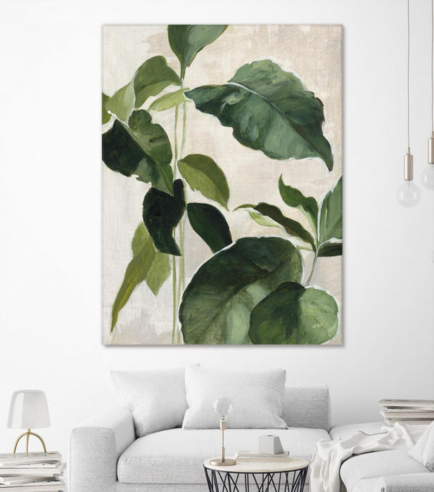 Œuvre d’art murale Giant Art « Tropical Study Ii » 72 x 54