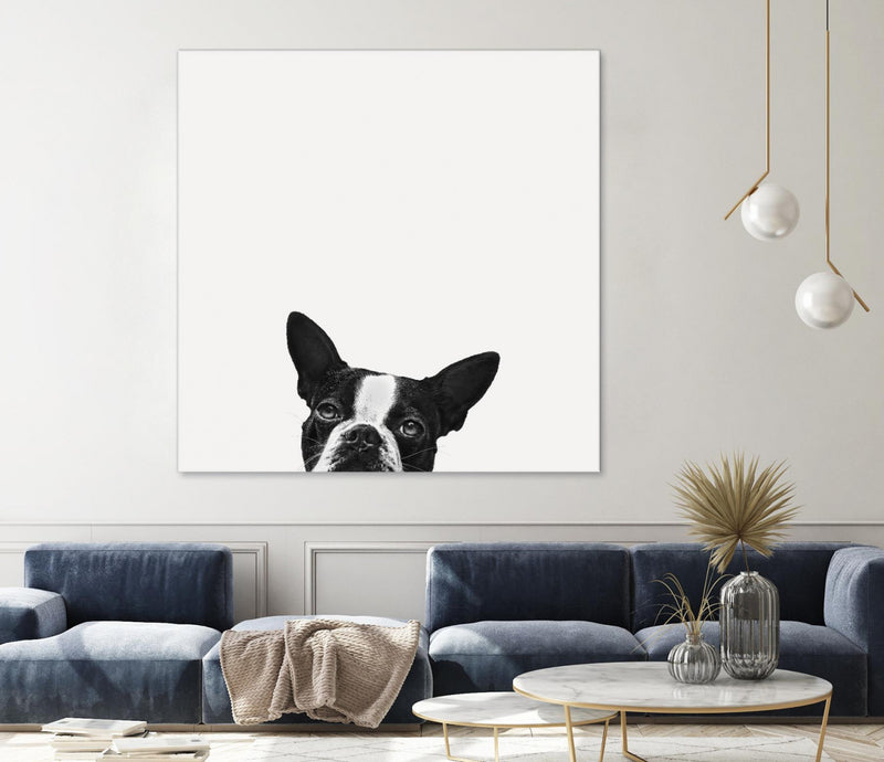Œuvre d’art murale Giant Art « Loyalty » 54 x 54