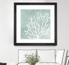 "Sea Crown Ii" Matted and Framed Black 30x30 Wall Art