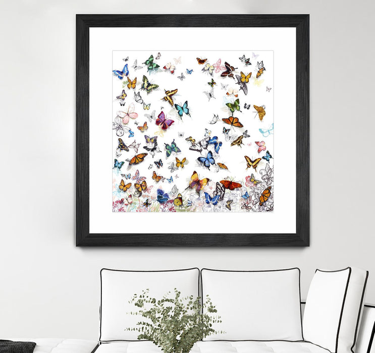 Œuvre d’art murale encadrée noire et mate « Papillon » 36 x 36