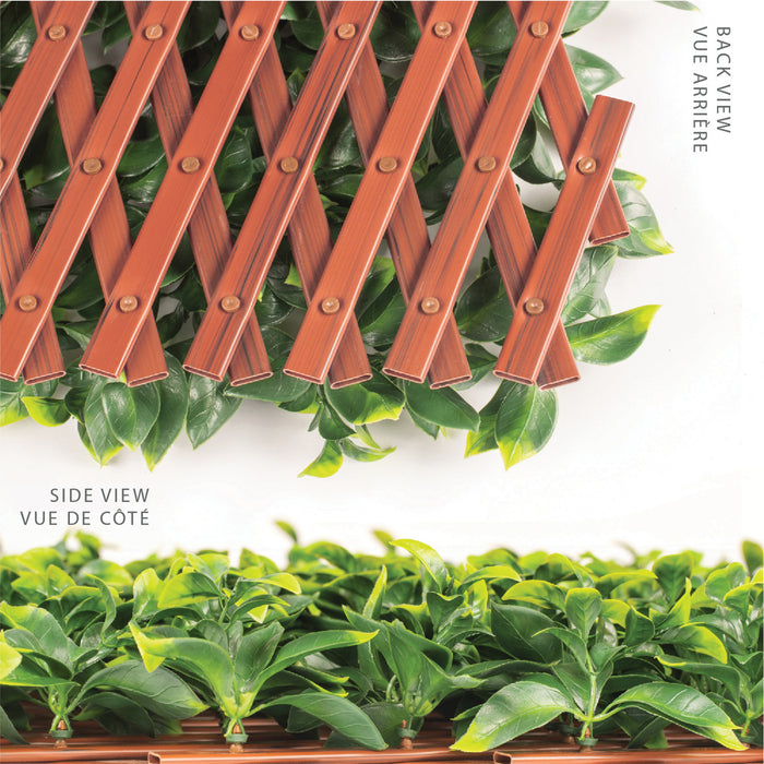 Treillis de PVC extensible 36 po x 72 po avec feuilles de gardénia