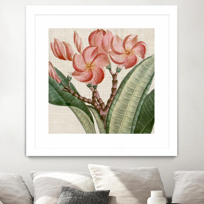 Œuvre d’art murale encadrée blanche et mate « Cropped Turpin Tropicals Vii » 30 x 30