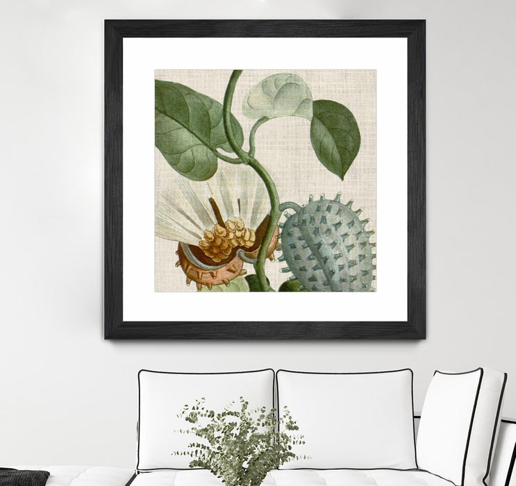 Œuvre d’art murale encadrée noire et mate « Cropped Turpin Tropicals Ii » 36 x 36