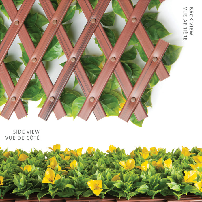 Treillis de PVC extensible 36 po x 72 po avec feuilles de clématite jaunes