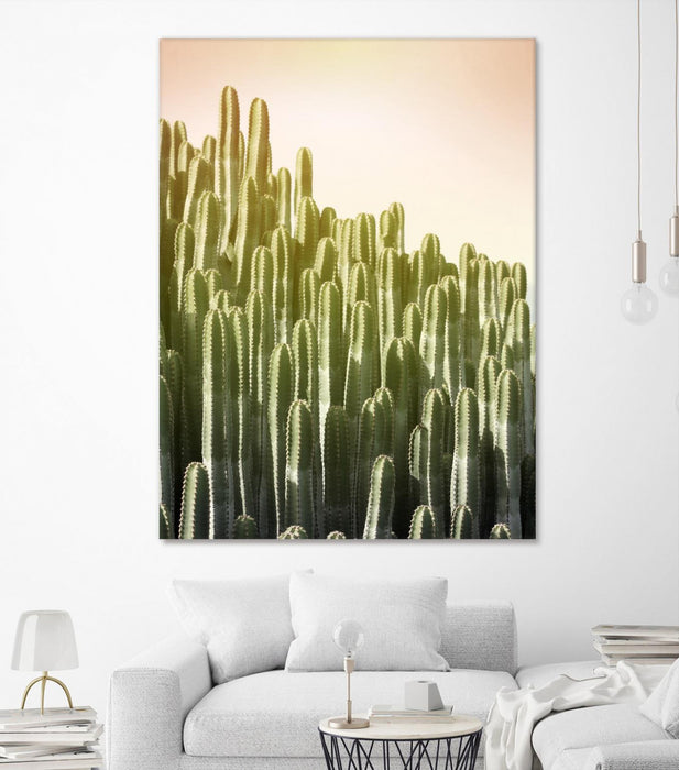 Œuvre d’art murale Giant Art « Pink Sky Cactus » 72 x 54