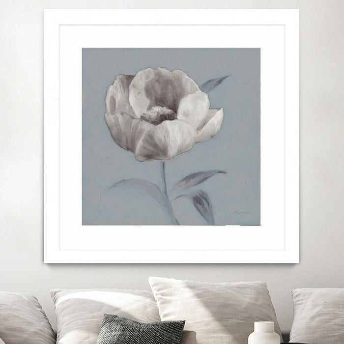Œuvre d’art murale encadrée blanche et mate « Floral Symposium I » 36 x 36