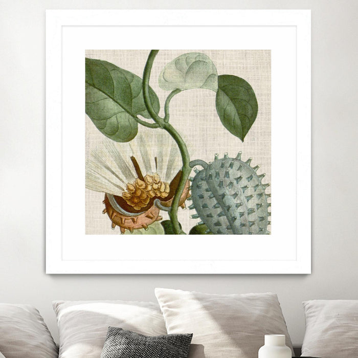 Œuvre d’art murale encadrée blanche et mate « Cropped Turpin Tropicals Ii » 30 x 30