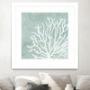 "Sea Crown Ii" Matted and Framed White 36x36 Wall Art