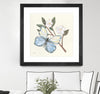 "In The Garden Butterfly" Matted and Framed Black 36x36 Wall Art