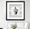 "Muted Blue Sea Conch On Wood" Matted and Framed Black 30x30 Wall Art