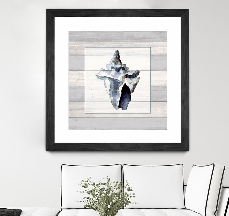 Œuvre d’art murale encadrée noire et mate « Muted Blue Sea Conch On Wood » 30 x 30
