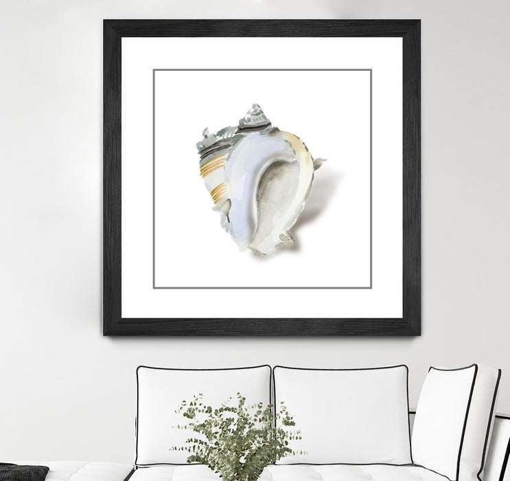 Œuvre d’art murale encadrée noire et mate « Seafoam Shell » 36 x 36