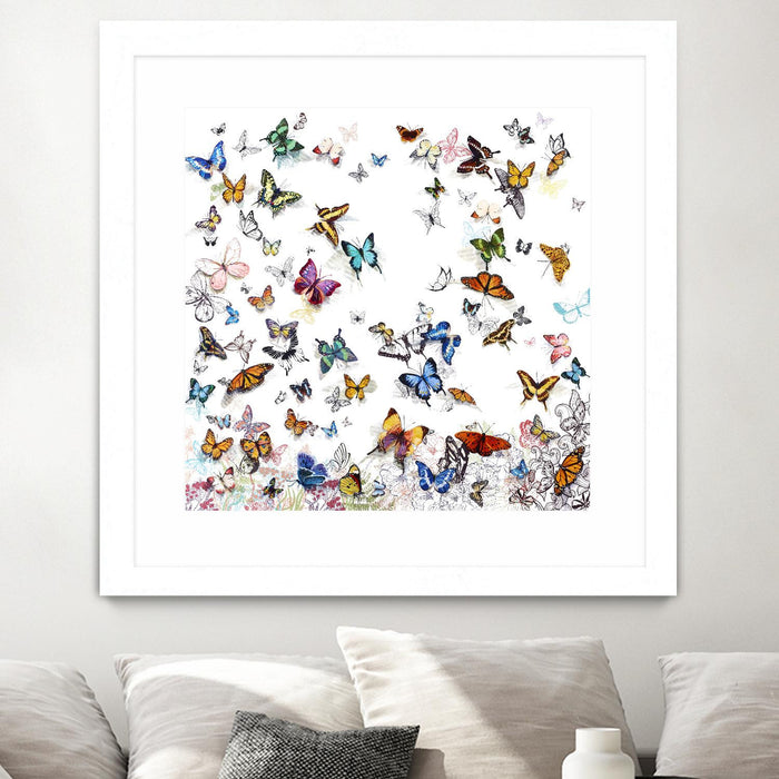 Œuvre d’art murale encadrée blanche et mate « Papillon » 36 x 36