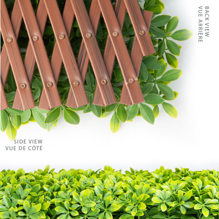 Treillis de PVC extensible 36 po x 72 po avec feuilles de schefflera