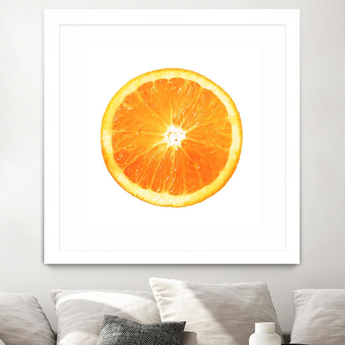 Œuvre d’art murale encadrée blanche et mate « Citrus Cultivar » 30 x 30