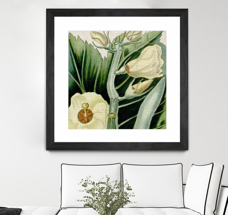 Œuvre d’art murale encadrée noire et mate « Cropped Turpin Tropicals Iii » 30 x 30
