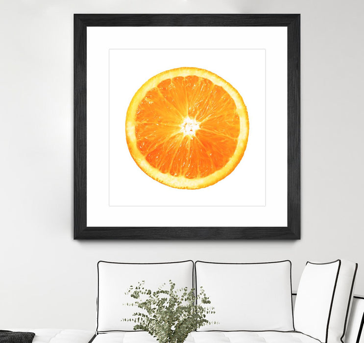 Œuvre d’art murale encadrée noire et mate « Citrus Cultivar » 36 x 36