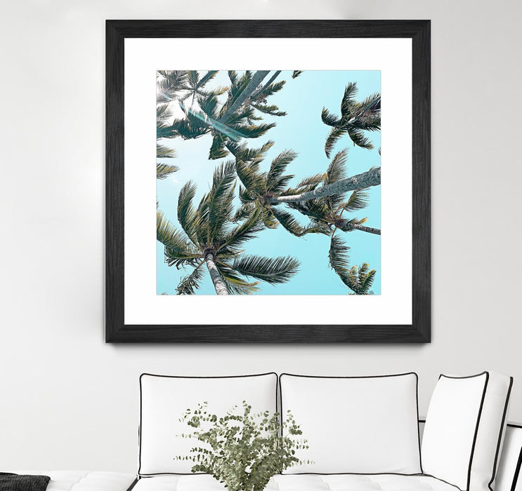 Œuvre d’art murale encadrée noire et mate « Palm 03 » 30 x 30