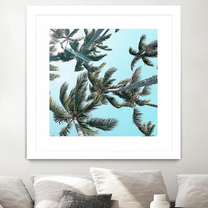 Œuvre d’art murale encadrée blanche et mate « Palm 03 » 30 x 30