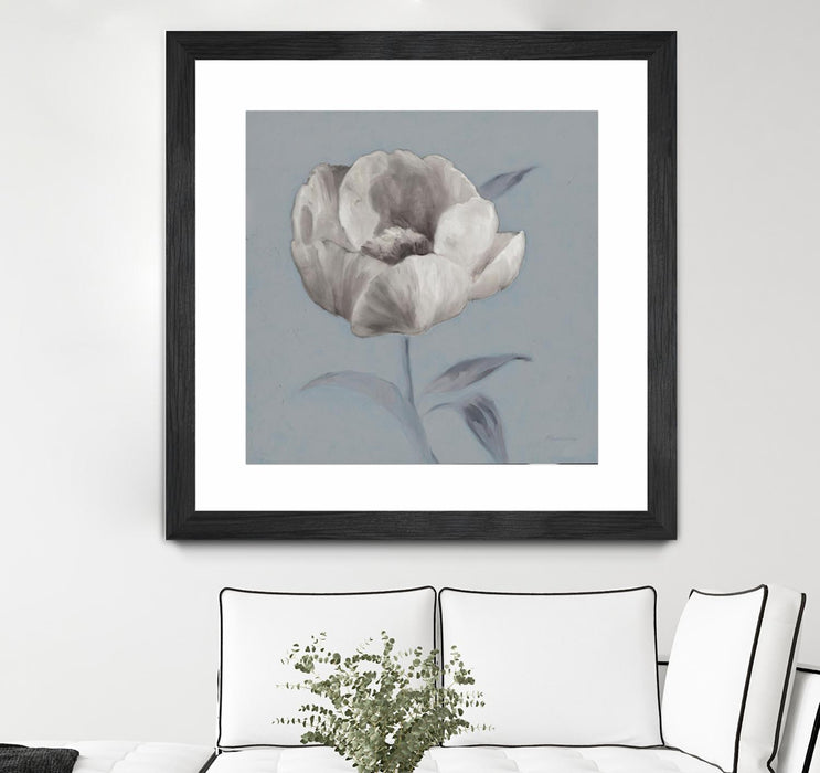 Œuvre d’art murale encadrée noire et mate « Floral Symposium I » 36 x 36