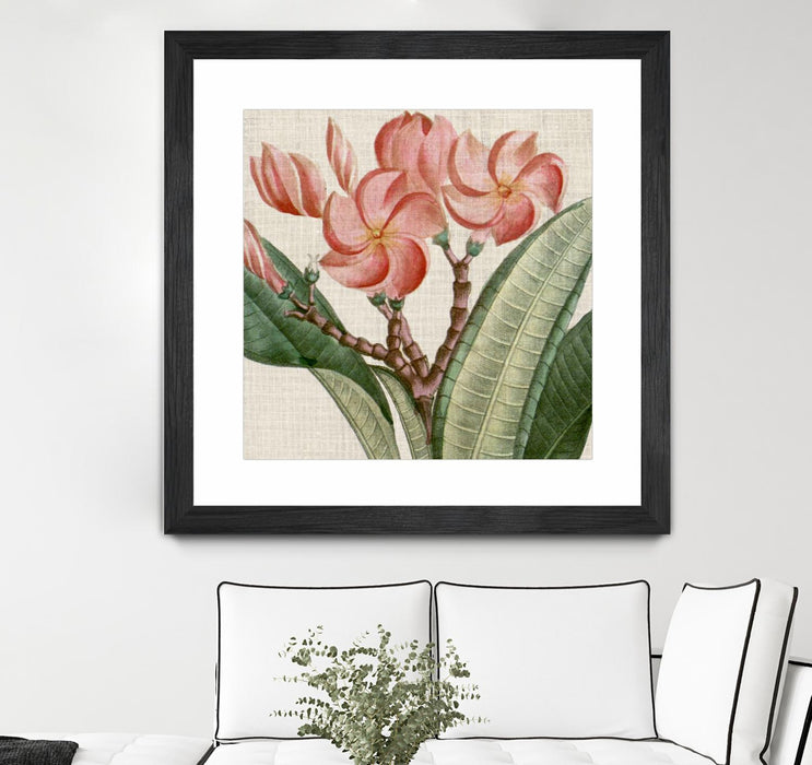 Œuvre d’art murale encadrée noire et mate « Cropped Turpin Tropicals Vii » 36 x 36