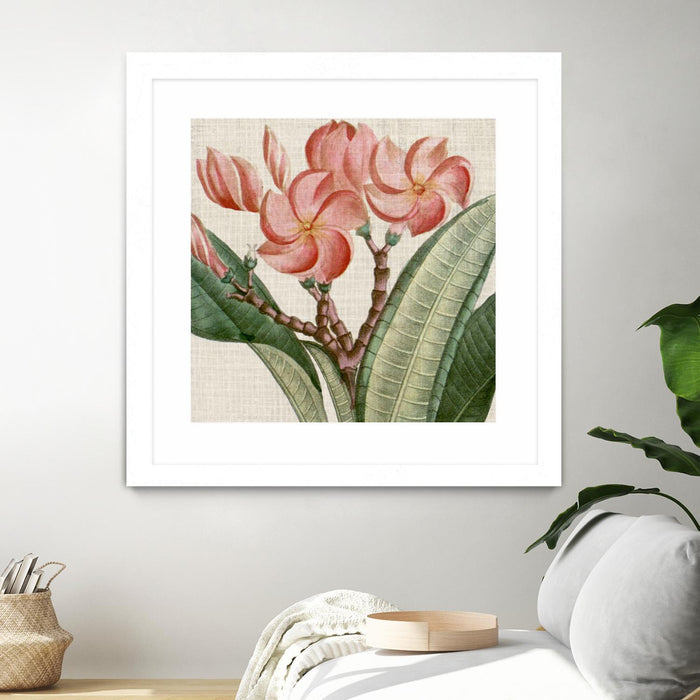 Œuvre d’art murale encadrée blanche et mate « Cropped Turpin Tropicals Vii » 36 x 36