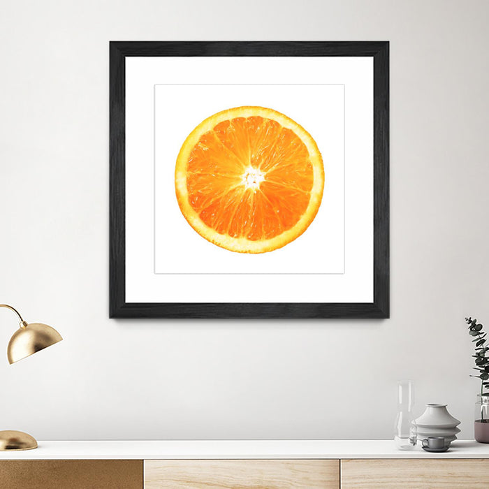 Œuvre d’art murale encadrée noire et mate « Citrus Cultivar » 36 x 36