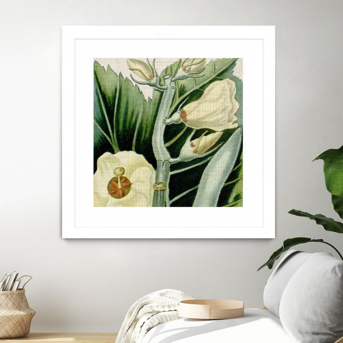 Œuvre d’art murale encadrée blanche et mate « Cropped Turpin Tropicals Iii » 36 x 36