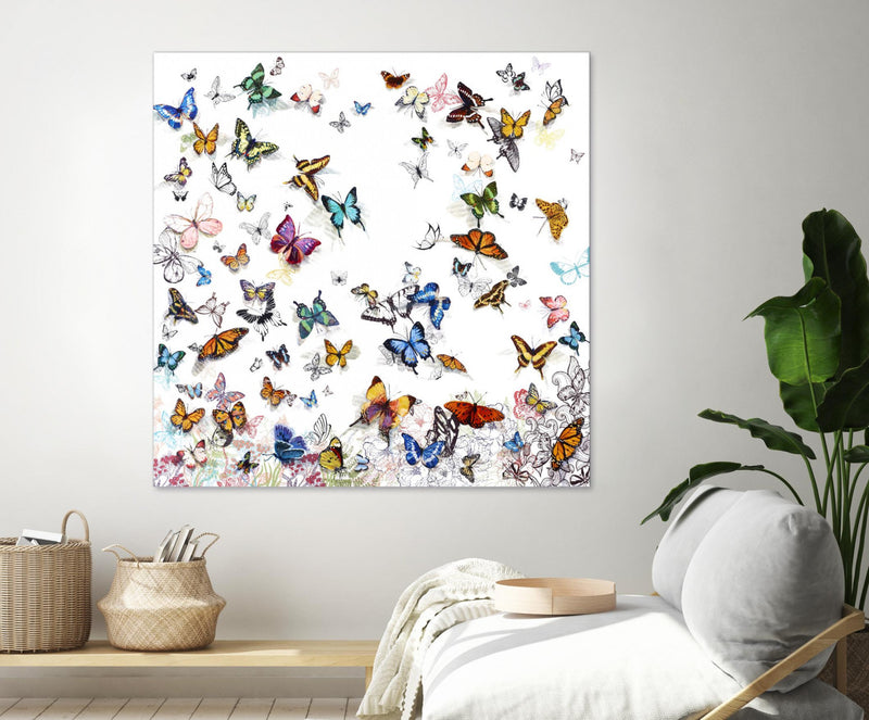 Œuvre d’art murale Giant Art « Papillon » 54 x 54